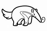 Anteater Outline Coloring Page  Free Printable Pages sketch template