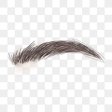 Bushy Eyebrows PNG Transparent Images Free Download | Vector Files ...