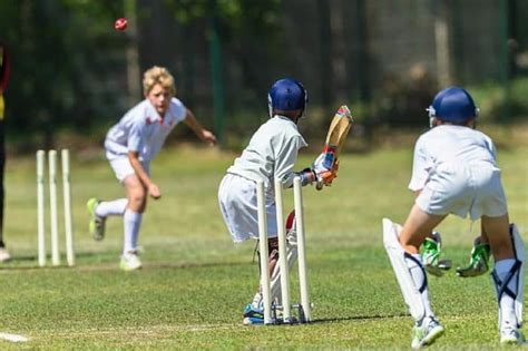 Playing Cricket Games With Your Children Can Improve Their Life at School