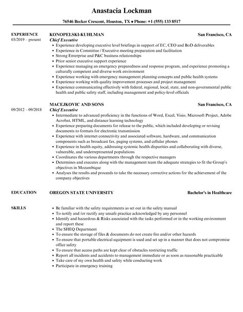 Chief Executive Resume Samples | Velvet Jobs