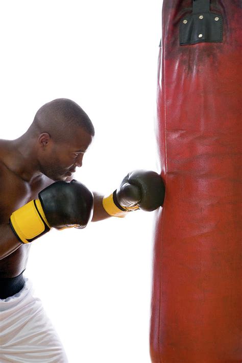 Boxer Training Photograph by Gustoimages/science Photo Library - Pixels