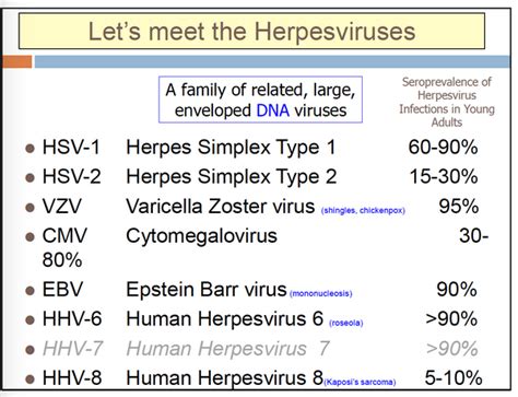 Herpesviruses - Viral Infections - AntiinfectiveMeds.com