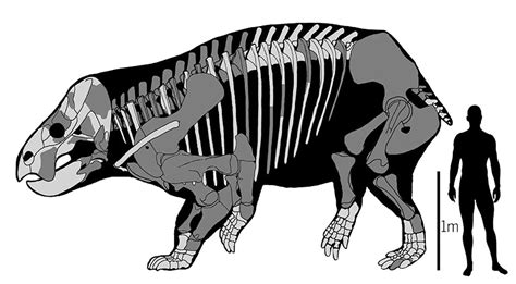 Giant dicynodont