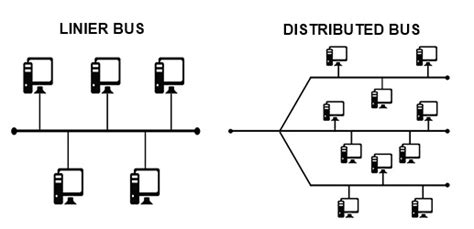 Understanding the Bus topology and its advantages and disadvantages ...