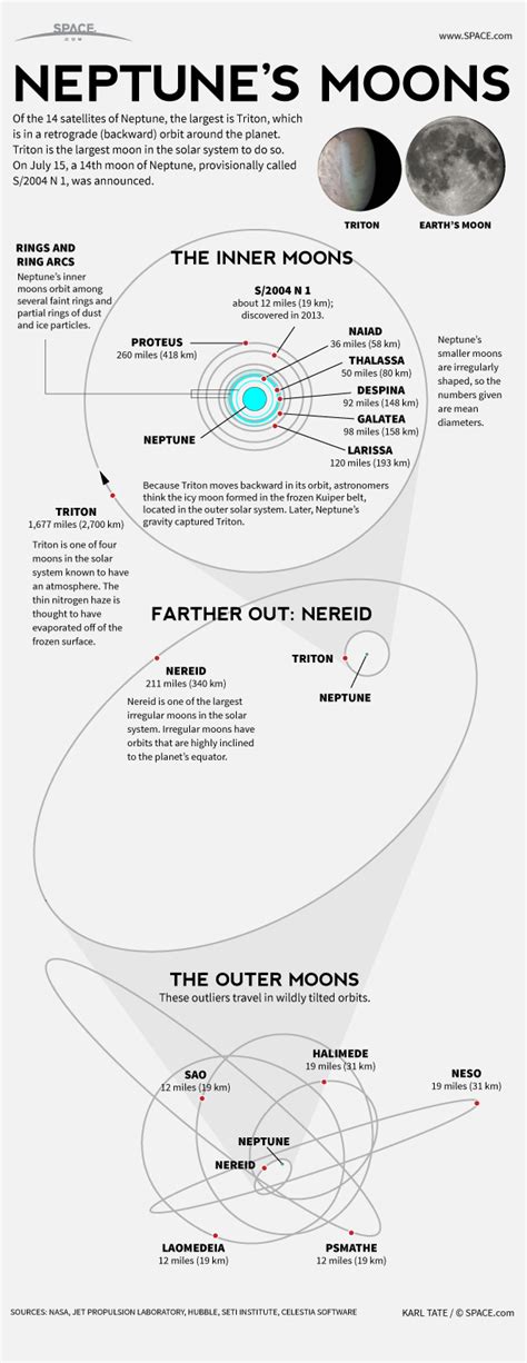 Neptune Has 14 Moons: Neptunian Satellite Facts (Infographic) | Space