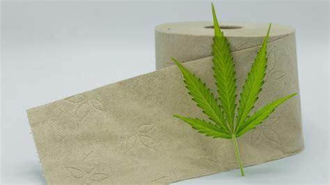 Hemp Paper- Better In so Many Ways - CBD Life Magazine