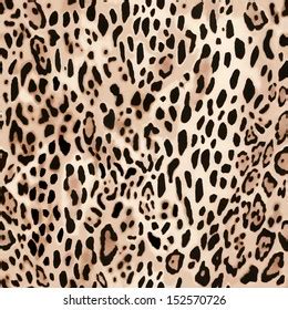 Lion Skin Pattern Images, Stock Photos & Vectors | Shutterstock