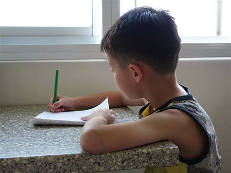 Free photo: writing, boy, child, student, kid, homework, pencil | Hippopx