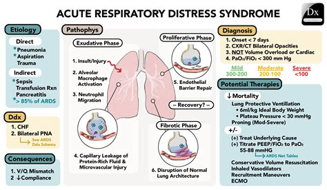 Ards Map Acute Respiratory Distress Syndrome Concept Map Risk | sexiezpix Web Porn