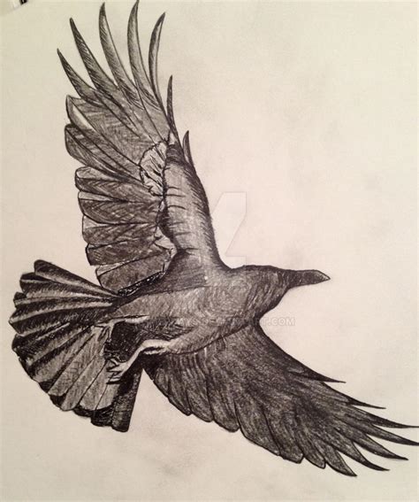 Flying crow - sketch (pencil) by KhmerDays on DeviantArt