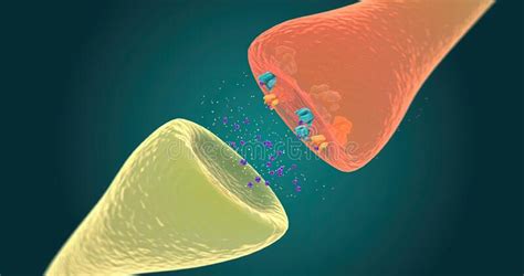 Receptors Pain Stock Illustrations – 317 Receptors Pain Stock Illustrations, Vectors & Clipart ...