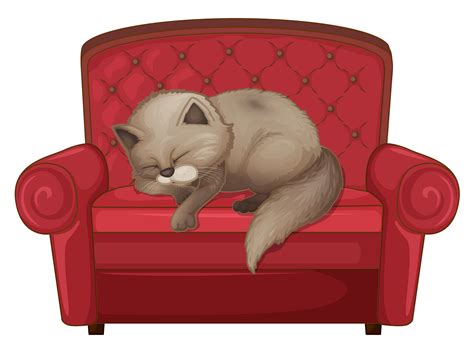 A cat sleeping on the sofa 417901 Vector Art at Vecteezy