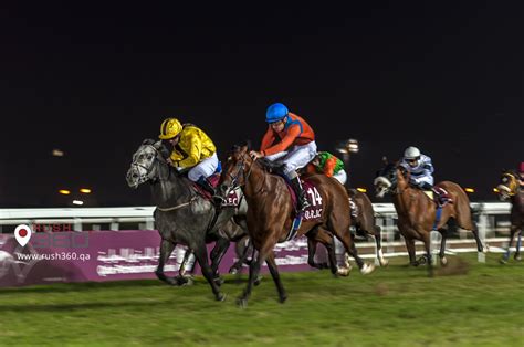 Rush360 Qatar: Horse Racing - 28th and 29th October 2015