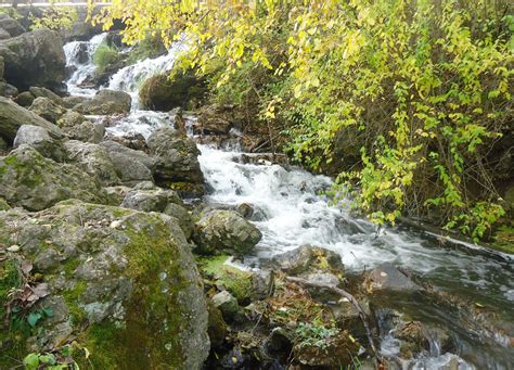 Lower part of a waterfall in Govenor Dodge State Park, Wisconsin image - Free stock photo ...