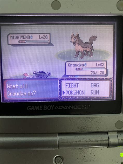 [genIII] Random shiny Mightyena in Emerald while doing a monotype run. I didn’t have the master ...