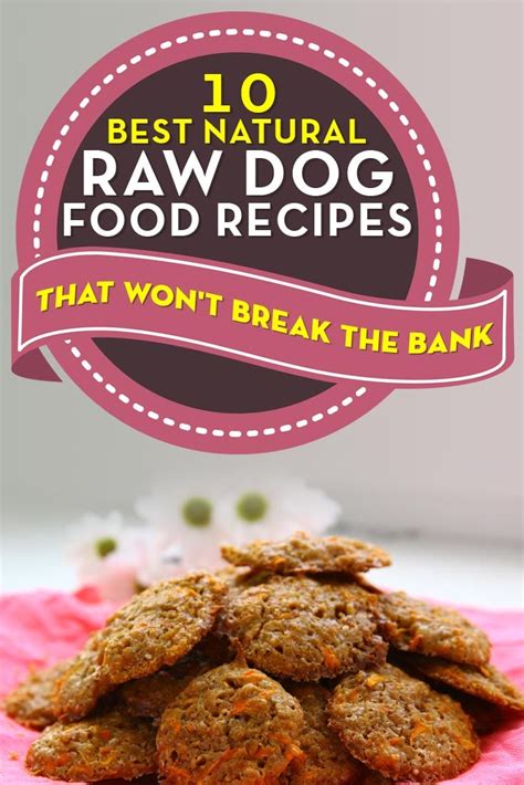 10 Best Natural Homemade Raw Dog Food Recipes (Photos and Videos)