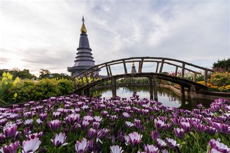 Doi Inthanon National Park stock image. Image of landmark - 106497655