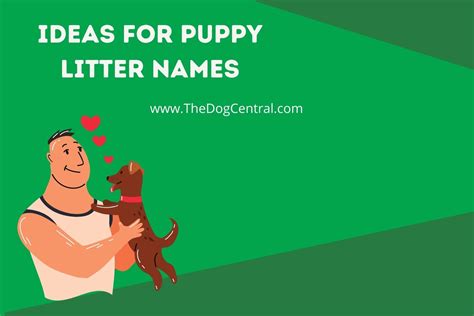 Ideas For Puppy Litter Names | The Dog Central