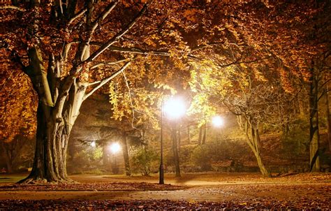 Wallpaper autumn, landscape, lights, Park, the evening, night, park ...