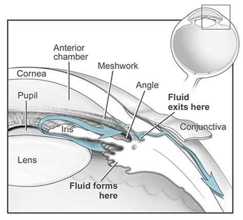 Intraocular Fluid - Overall Science