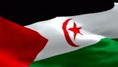 Sahrawi Flag National 3d Sahrawi Flag Waving Seamless Loop Animation ...