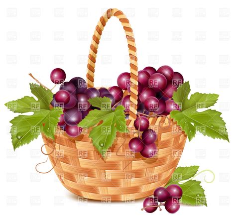 Grape Vine Border Vector at Vectorified.com | Collection of Grape Vine ...