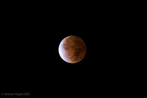 Photos: Beaver Moon Eclipse - The Bloomingtonian