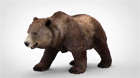 Grizzly Bear - 3D Model by alenfsl