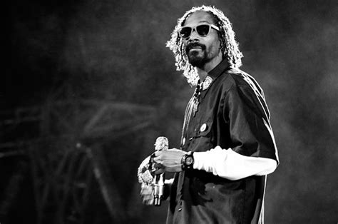 Snoop lion reincarnated songs - plmghost