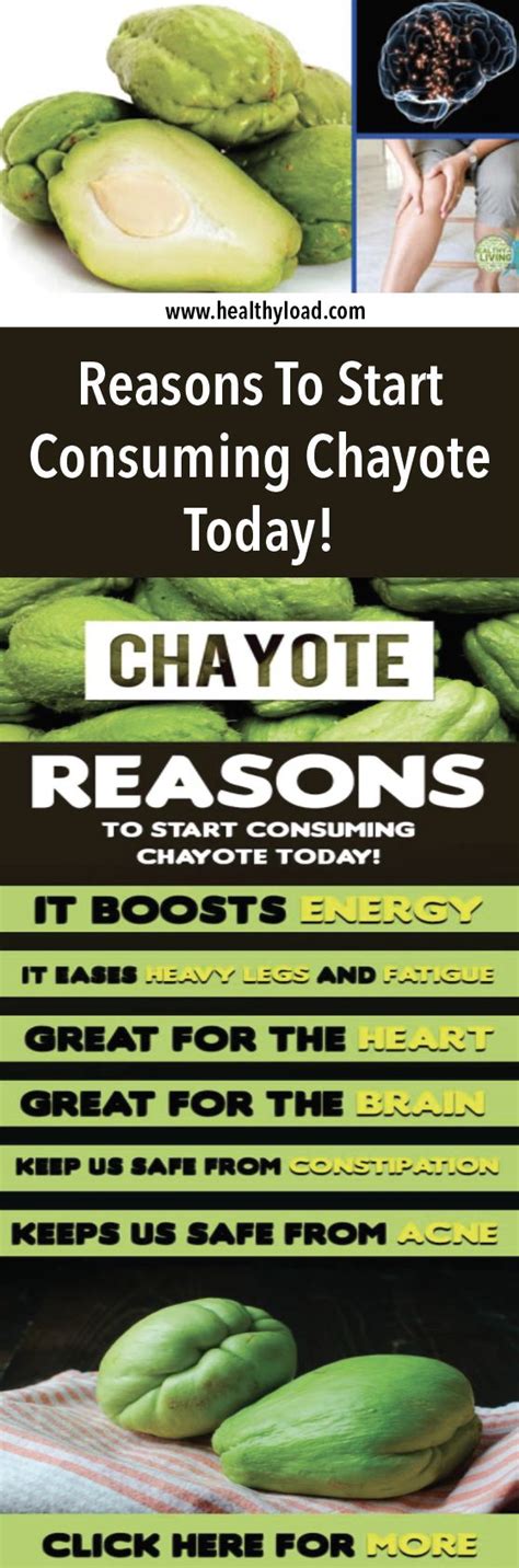 Reasons To Start Consuming Chayote Today! | Chayote squash, Different fruits and vegetables ...