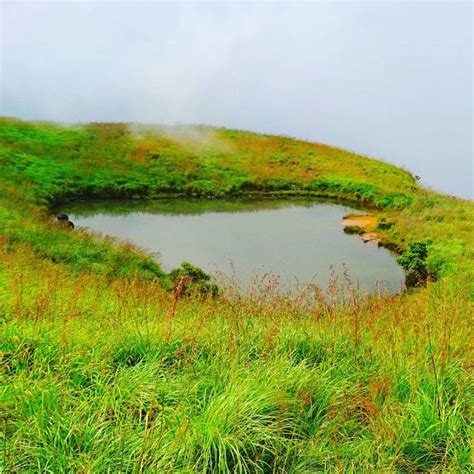 🌏love is everywhere! 🔵Love lake of Chembra peak in Wayanad. This heart ...