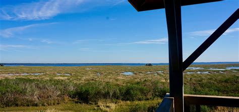 Lake Harney Wilderness – Florida Hikes