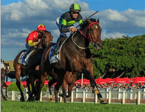 Think About It Wins G1 Kingsford Smith Cup | Breednet