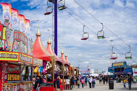 The Ultimate Rodeo Houston Guide | Lone Star Looking Glass