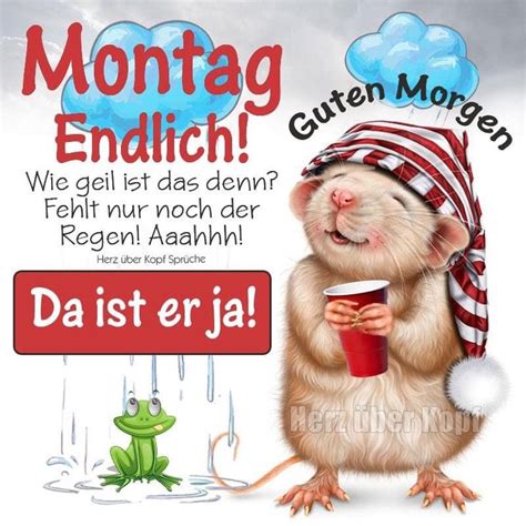 Pin von Miki Ram auf Guten Morgen in 2023 | Guten morgen gruss, Guten morgen montag bilder ...