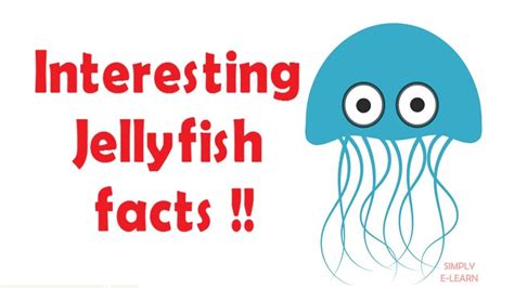 Jellyfish facts for kids - facts about jellyfish for kids - Simply E-lea... | Jellyfish facts ...