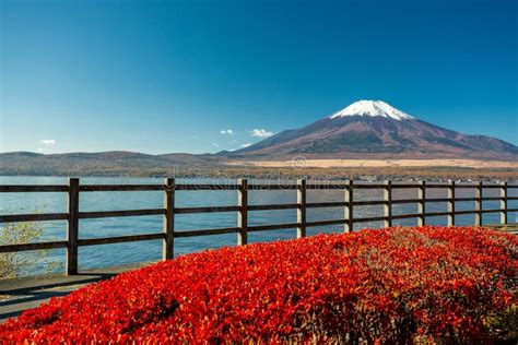 Mount Fuji and Yamanaka Lake Stock Image - Image of mountain, fence ...