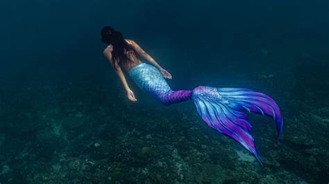 The Truth Behind Mermaid Myths