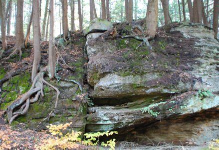 GC1JMFF Biological Weathering (Earthcache) in Pennsylvania, United ...