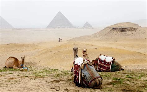 Immerse yourself in the rich ancient and modern history of Egypt on an ...