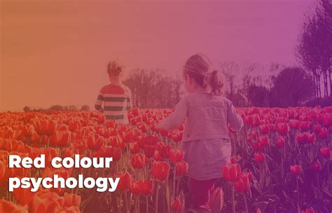 Colour psychology: how colour meanings affect your brand | Avasam