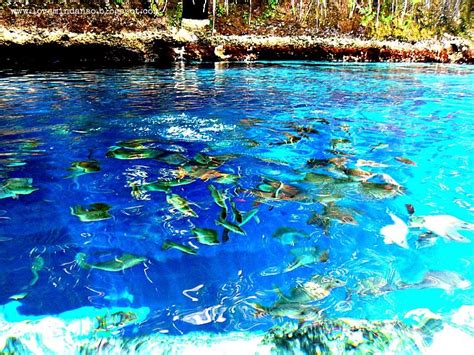 Discover the Mystery of the Enchanted River | Travel to the Philippines