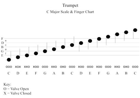 How to? Play the Trumpet...