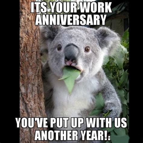 Anniversary Memes Happy Work Anniversary Funny : You get another day of ...