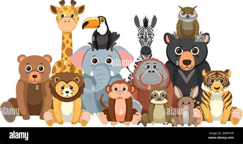 Zoo animals group in flat cartoon style illustration Stock Vector Image & Art - Alamy