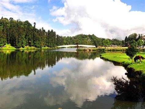 a lake surrounded by lush green grass and trees