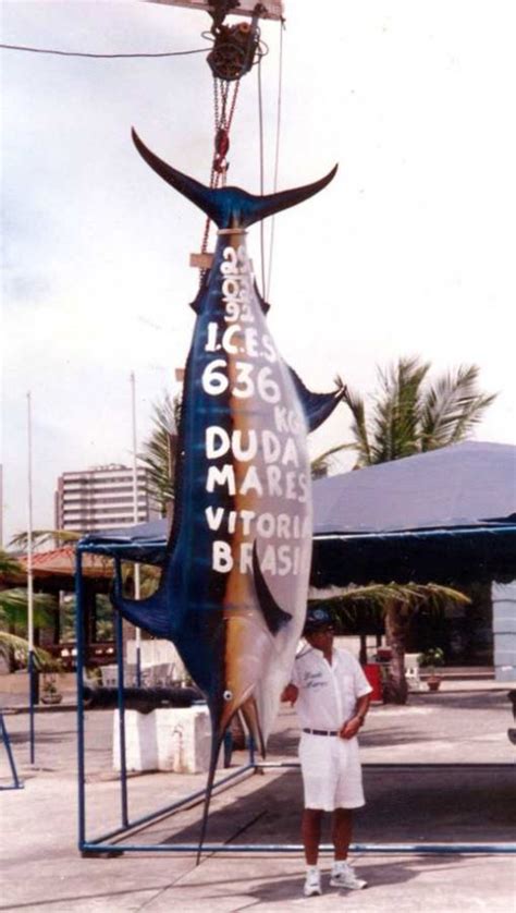 Rekor Dunia Ikan Terbesar yang Pernah Dipancing | Velasco Indonesia