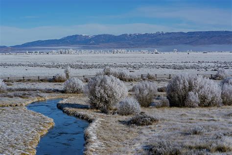 Winter Pinedale, Wyoming Photograph by Julieta Belmont - Fine Art America