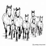 Herd Of Horses Coloring Pages  Free & Printable sketch template