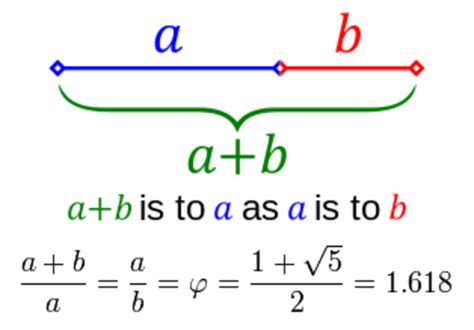 What is the Golden Ratio? - Twinkl